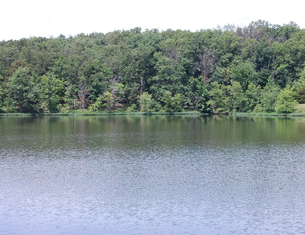Lake of Egypt, Illinois Sky, forest, water, and reflection… Flickr