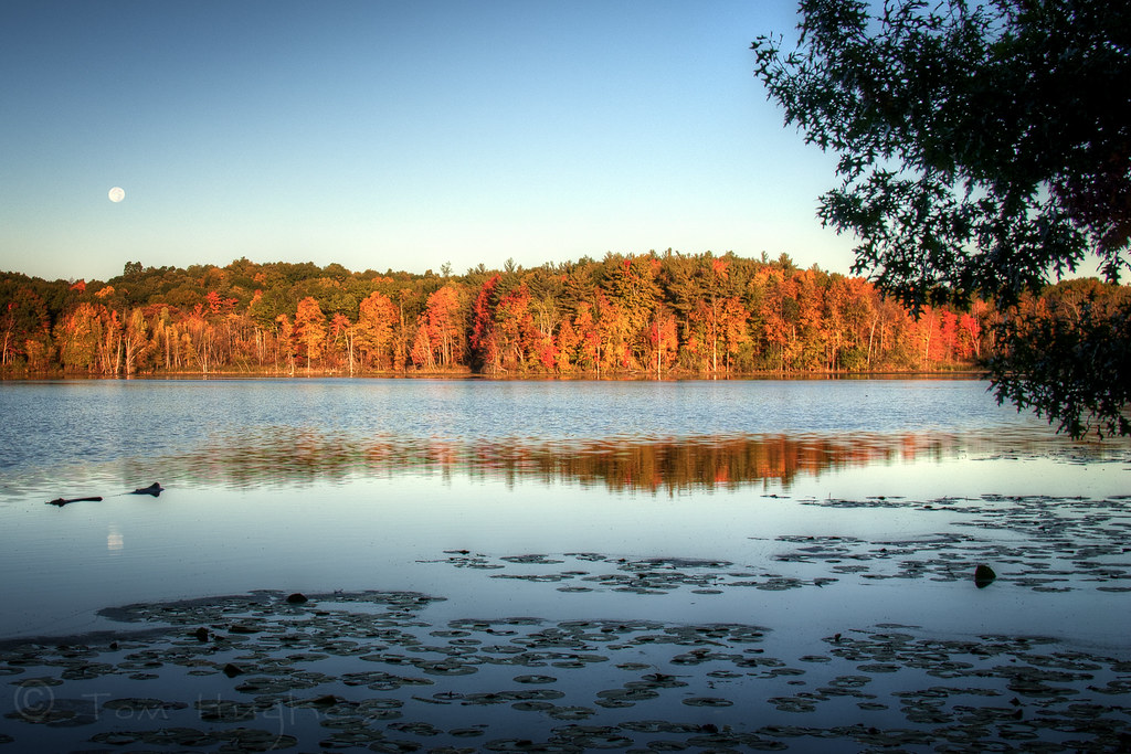 Moonset at Sunrise Moon setting over Buhl Lake Addison O… Flickr