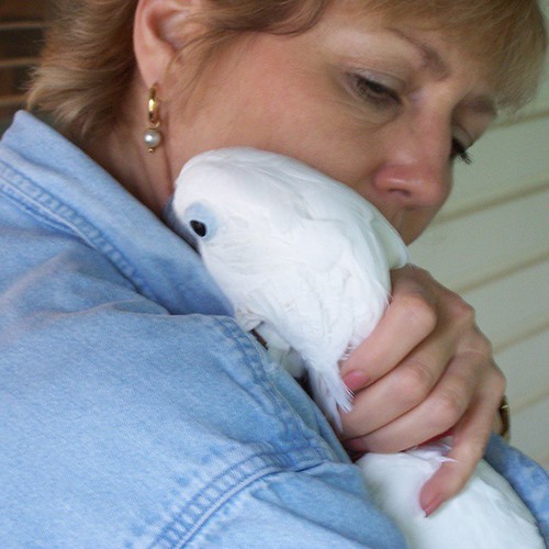 Keep the bird hug challenge going! Thanks Debbie for sendi… Flickr