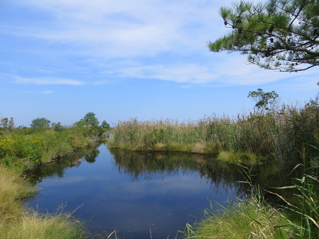 Alligator River National Wildlife Refuge fallequinox2006 Flickr
