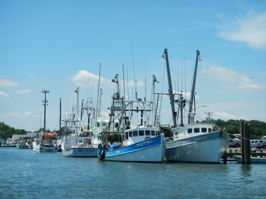 CARES Act Funding Available for Maryland Fishing Industry