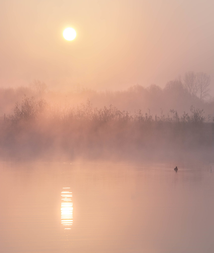 Muted Sunrise Gary Norman Flickr