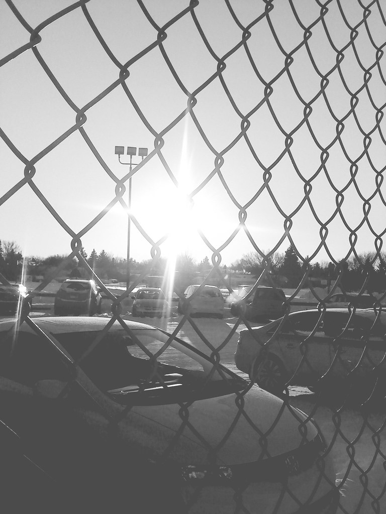 Regina Fences Lutz Heidbrink Flickr