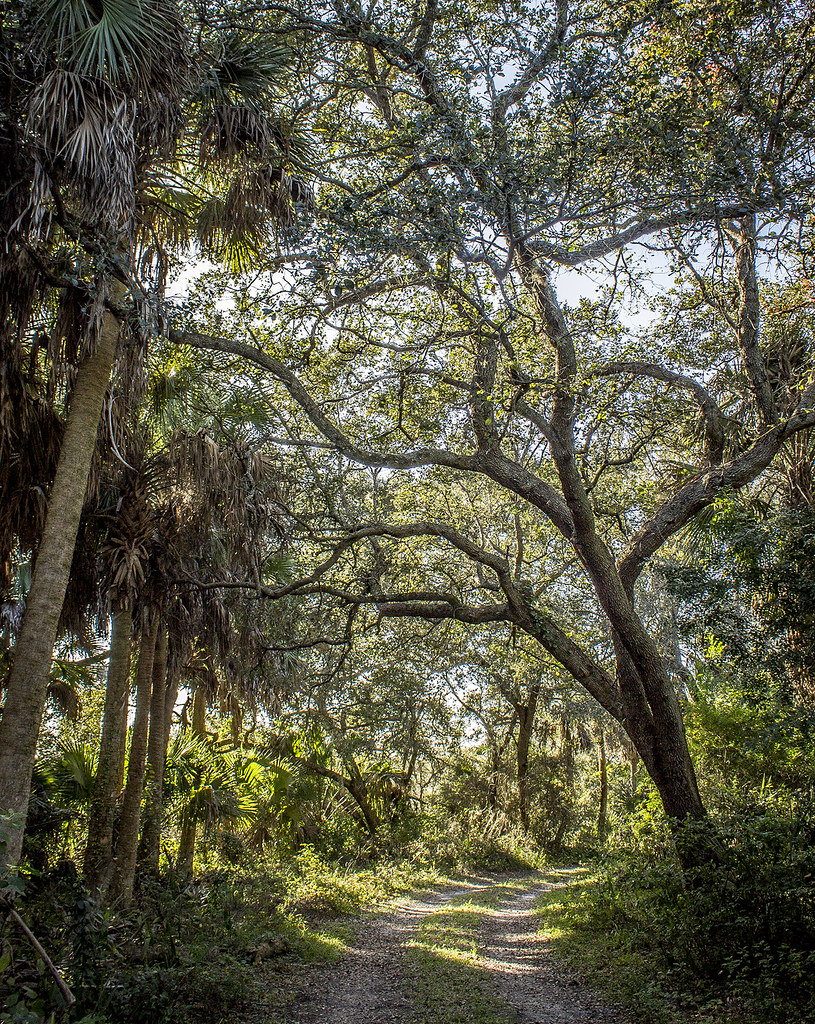 Frenchman's Forest Natural Area Flickr