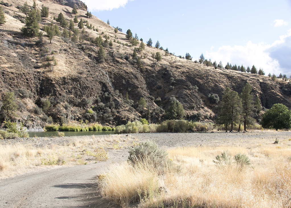 5393_service_creek_john_day_munsel_odfw Photo by Kathy Mu… Flickr