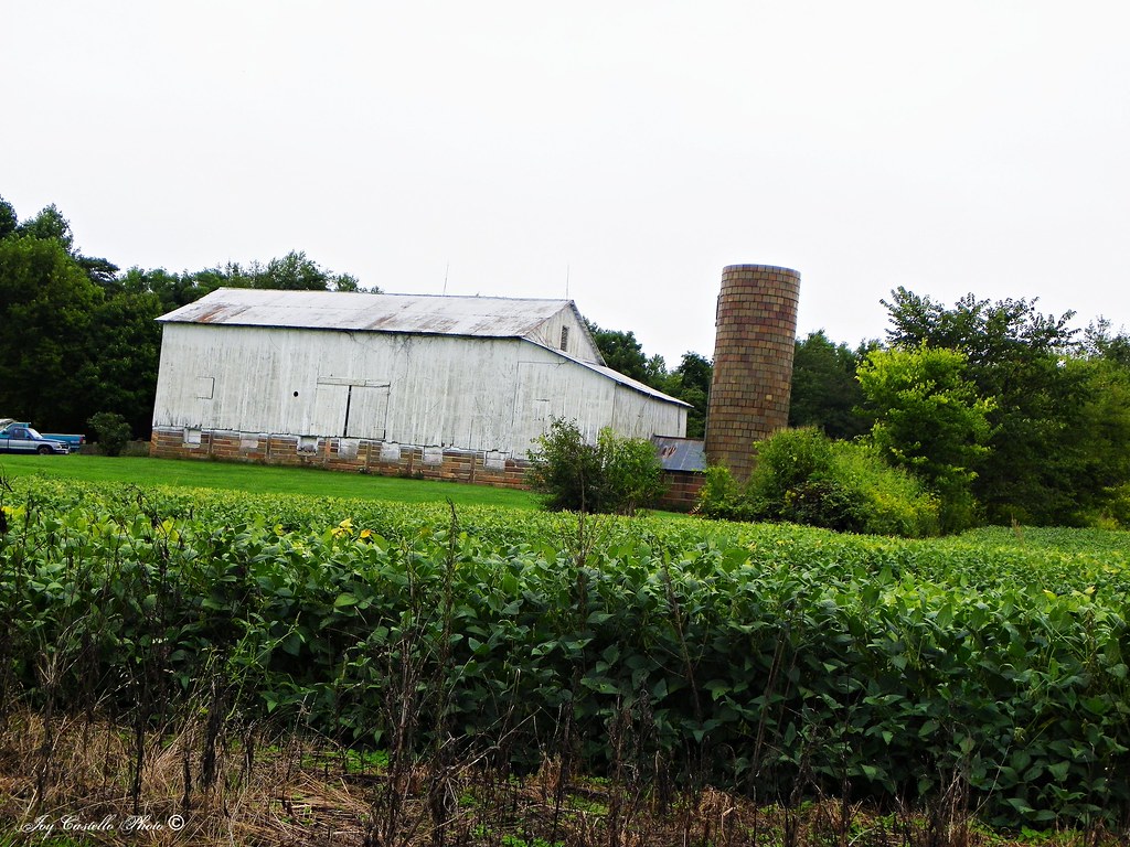 Barn Parke County, Indiana Joy Castello Flickr