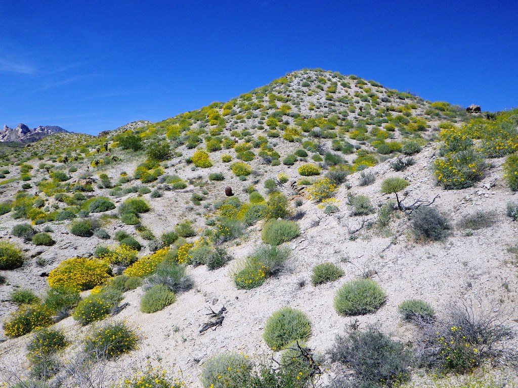 Christmas Tree Pass Road Spirt Mountain Wilderness, Clark … Flickr