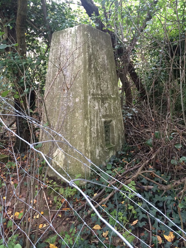 TL Ordnance Survey Point Close To Mashbury Road Chignall R… Flickr