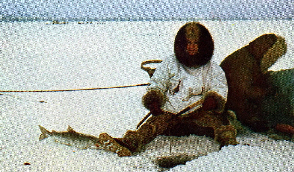 Ice Fishing In Kotzebue, Alaska Postcard "Ice fishing in K… Flickr