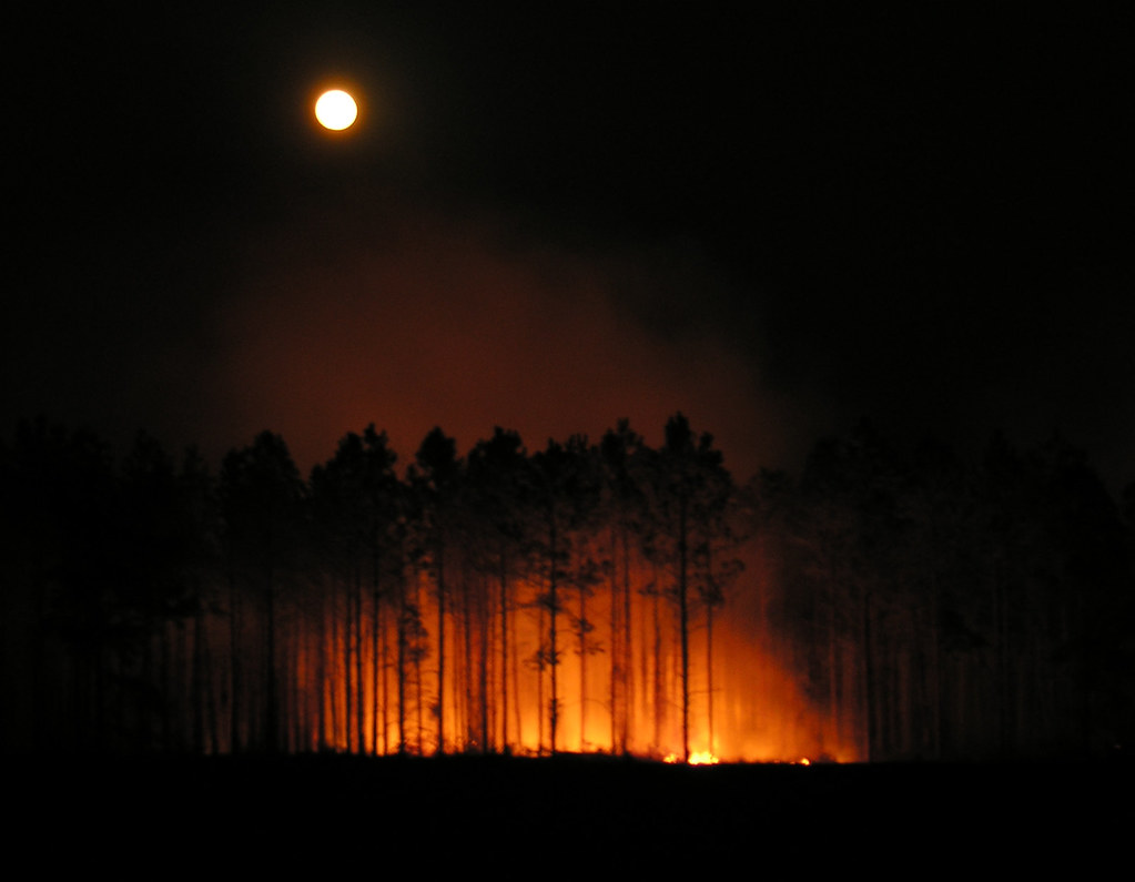 Moon Over Forest Fire The full moon was still shining as I… Flickr