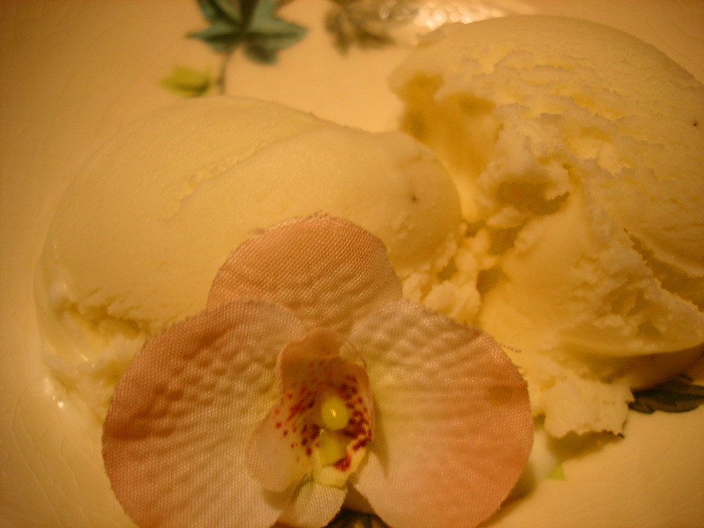 Tonka bean gelato a.j. kinik Flickr