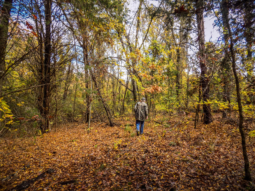 Elevation of Brown Rd, Anderson, SC, USA Topographic Map Altitude Map