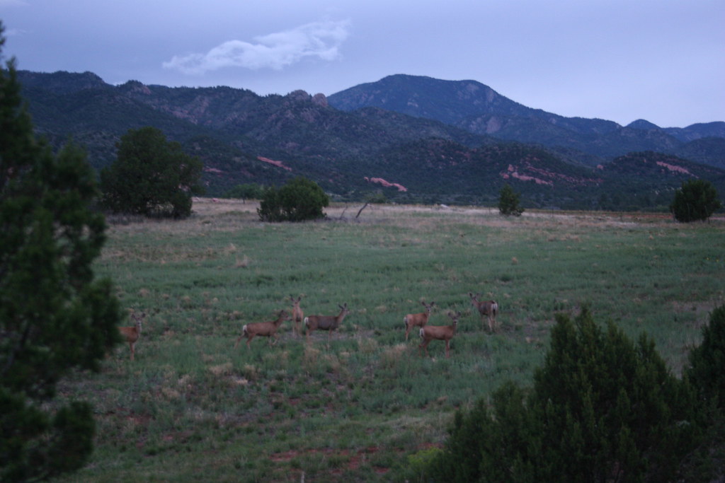 Turkey Creek Ranch 547 Jeff Bapst Flickr