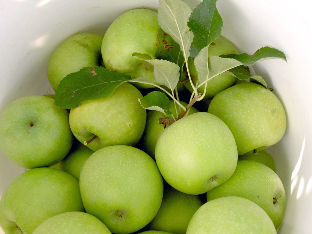 Rome Beauty Apples Just Picked Cobalt knows a thing or two… Flickr