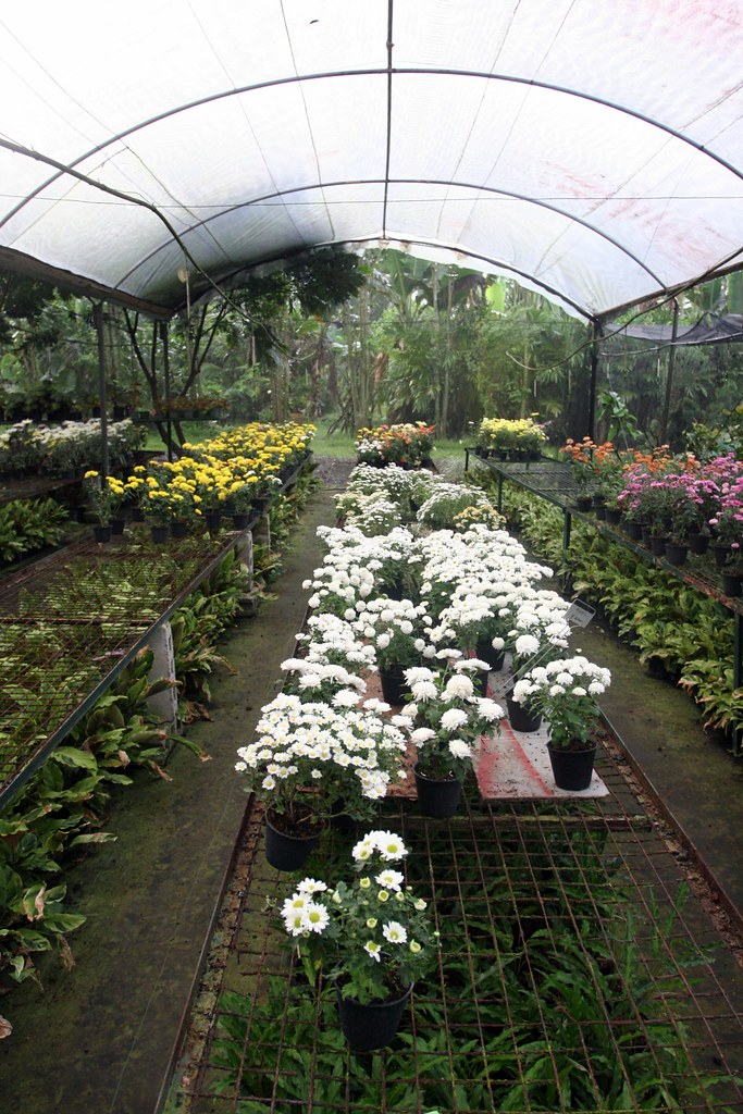 Mings Garden Tagaytay Zen Garden, Tagaytay Updated 2019 Prices