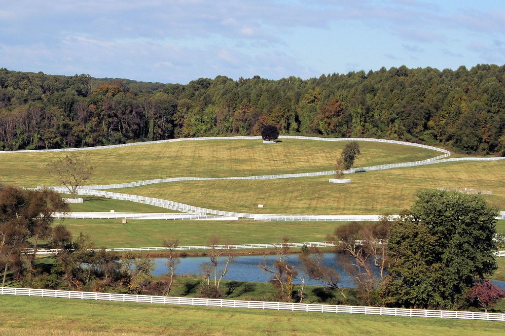 Horse Farm Horse farm near Sparks, MD. Best viewed large