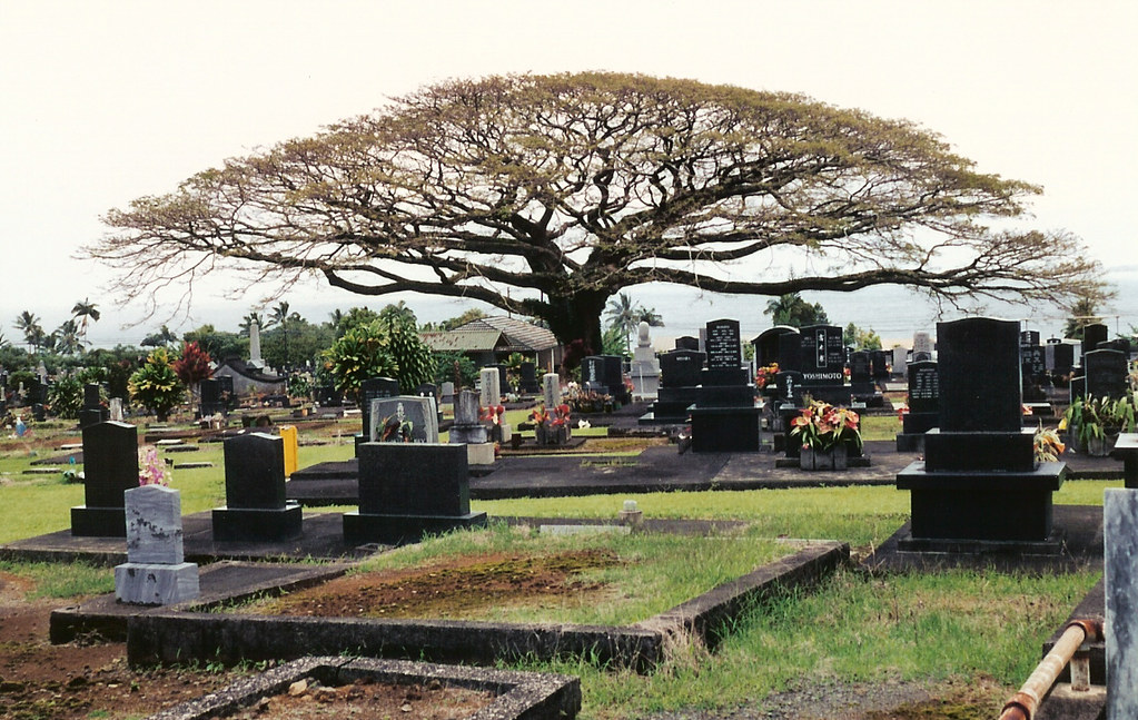 Hawaii Cemetery something.from.nancy Flickr