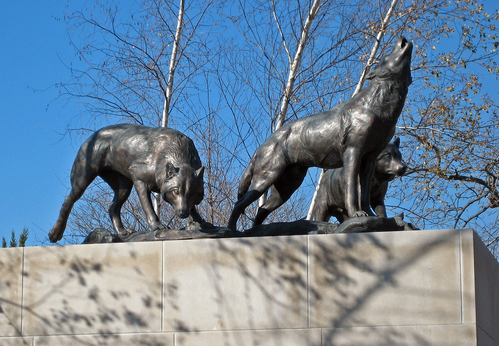 Statue Wolves Statue of wolves at the Lincoln Park Zoo in … Flickr