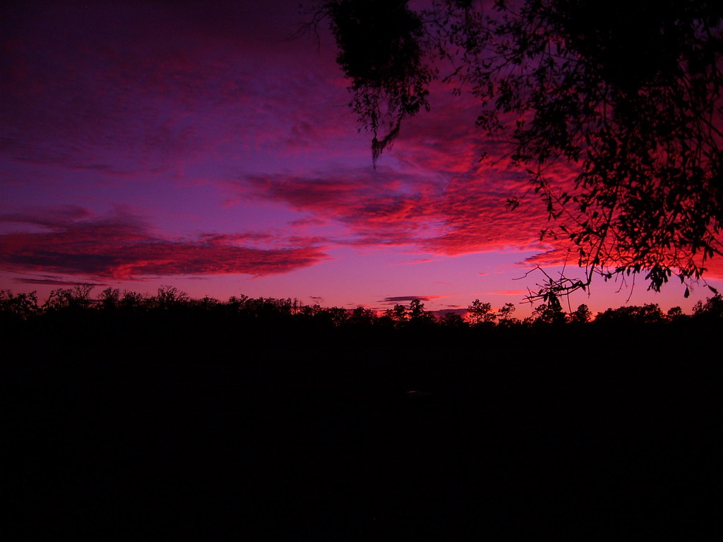 Kenansville,Florida sunset 2 Digimax A50 / KENOX Q2 Flickr