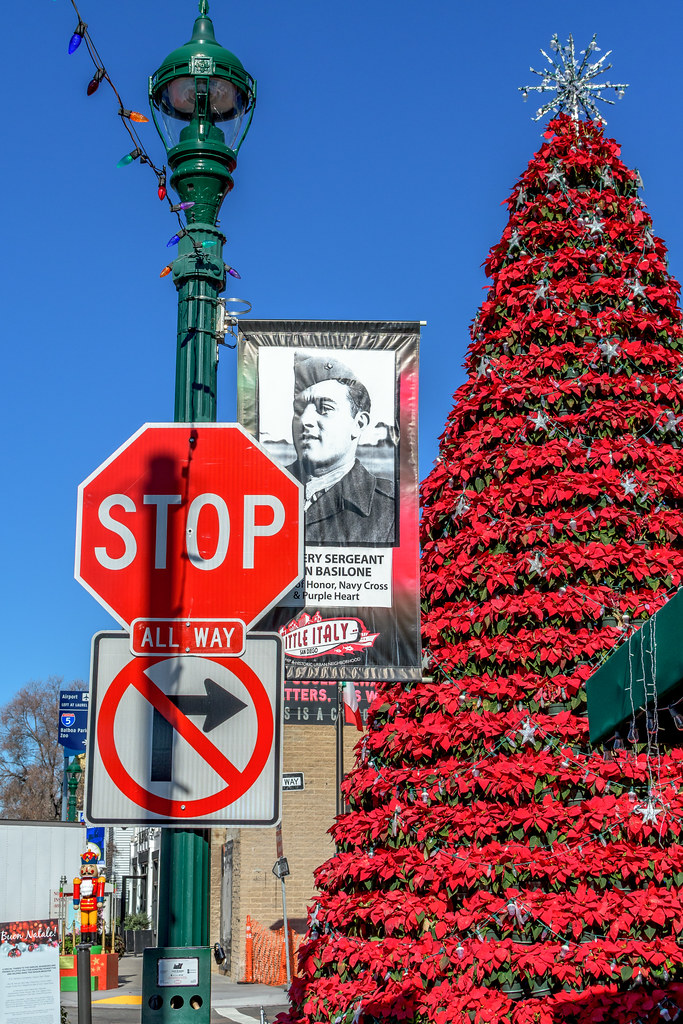 Little Italy Christmas Tree Piazza Basilone Little Italy… Flickr