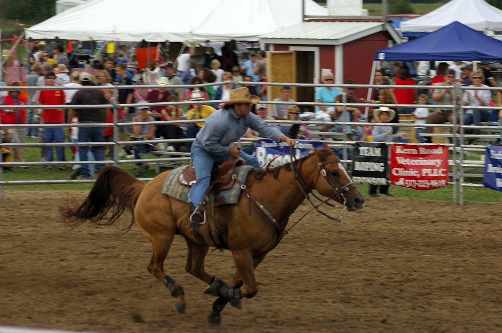 Helluva Rodeo 2008 Helluva Rodeo annual charity rodeo he… Flickr