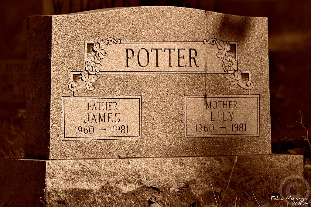 I Found Them! James and Lily Potter's Tombstone Godric's H… Flickr