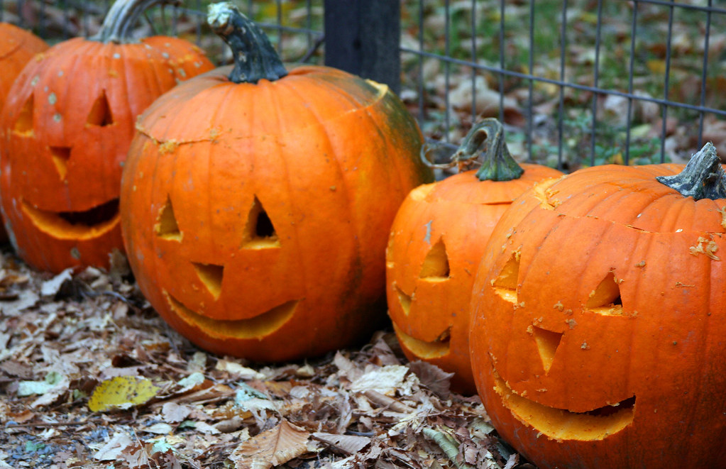 Central Park News Pumpkin Festival Spooks Up A Good Time In.