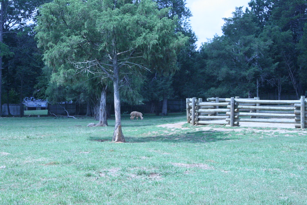 Lazy 5 Ranch Mooresville NC Flickr