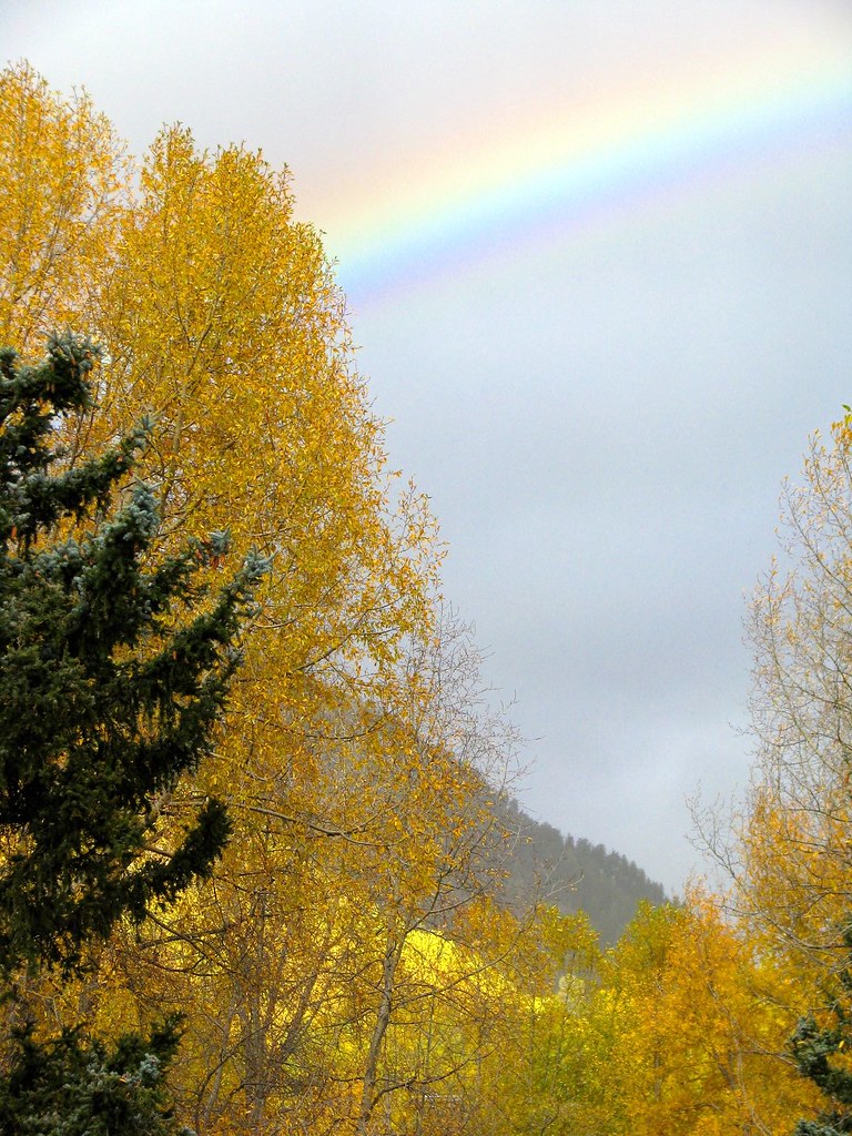 Rainbow Foliage Rico, Colorado. Flickr