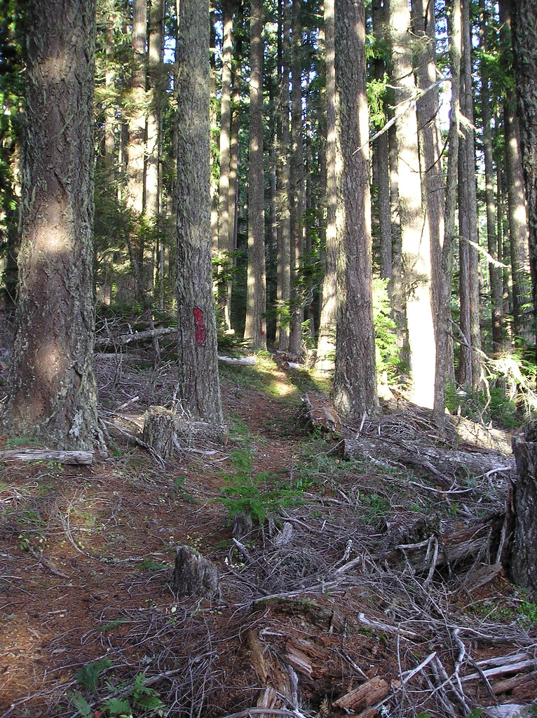 Cottonwood Meadows Trail Typical trail segment Flickr
