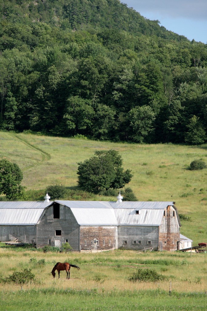 Meadow Lark Farm Monkton, Vermont Joshua