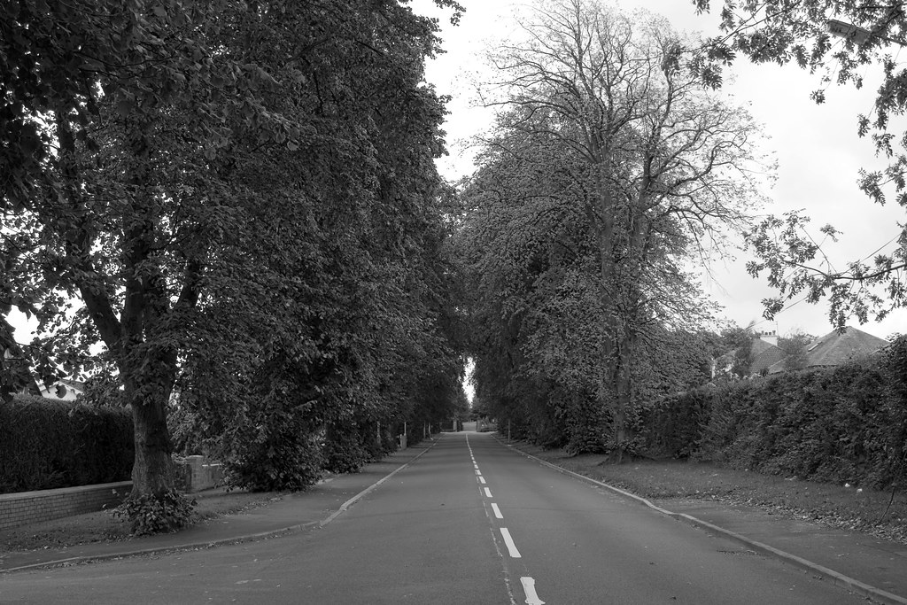 Abbey Drive Elderslie at William Opitz blog