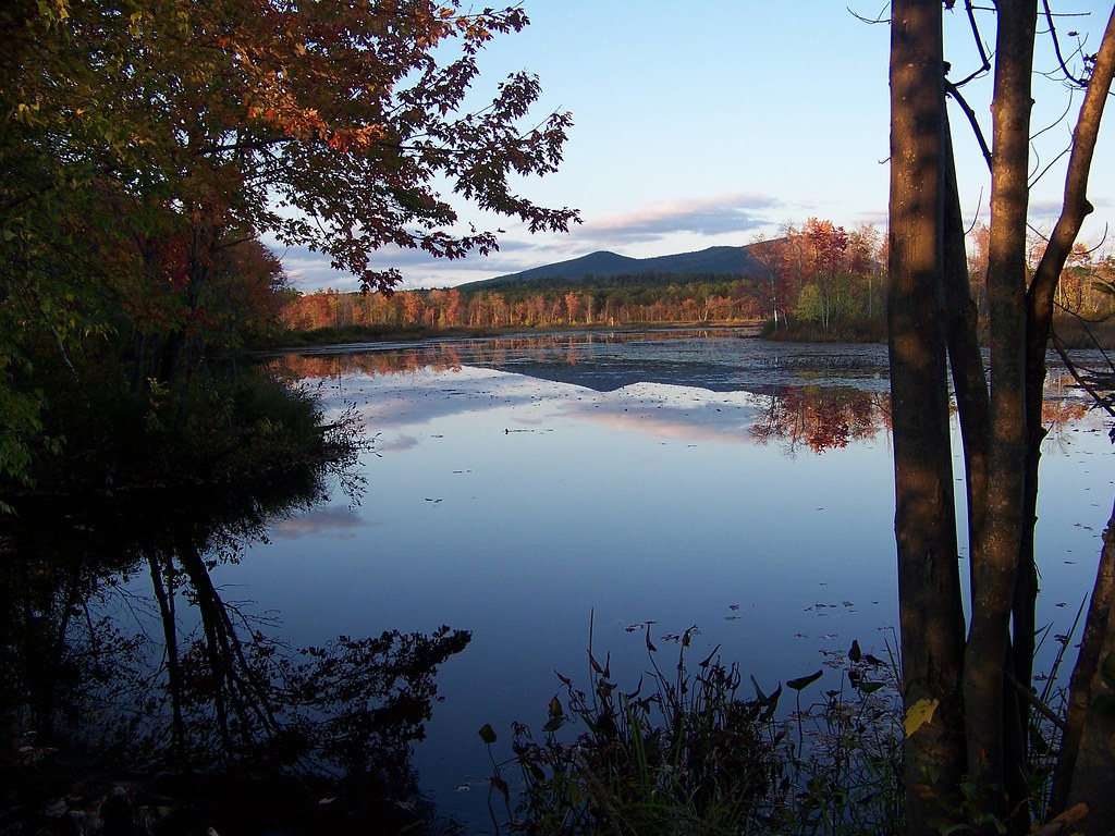 Denmark, Maine Saterday afternoon on Bog Lane in Denmark, … Flickr