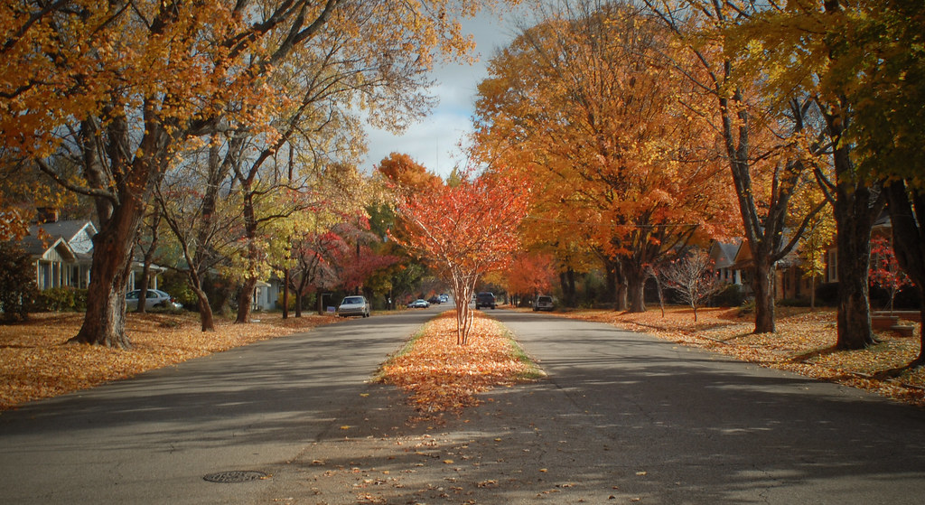 avenue Pratt Avenue, Five Points, Huntsville, AL Big is ni… Flickr