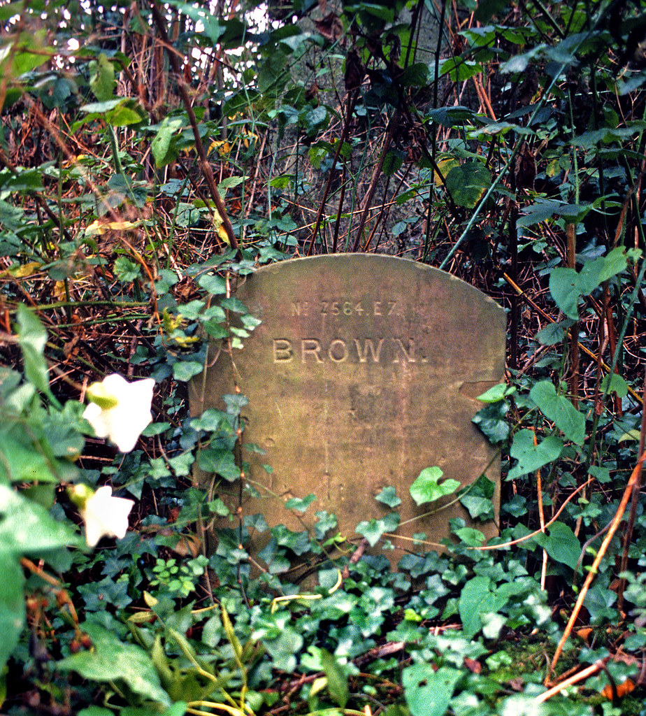 Abney Park Cemetery 1983 Brown Alan Denney Flickr