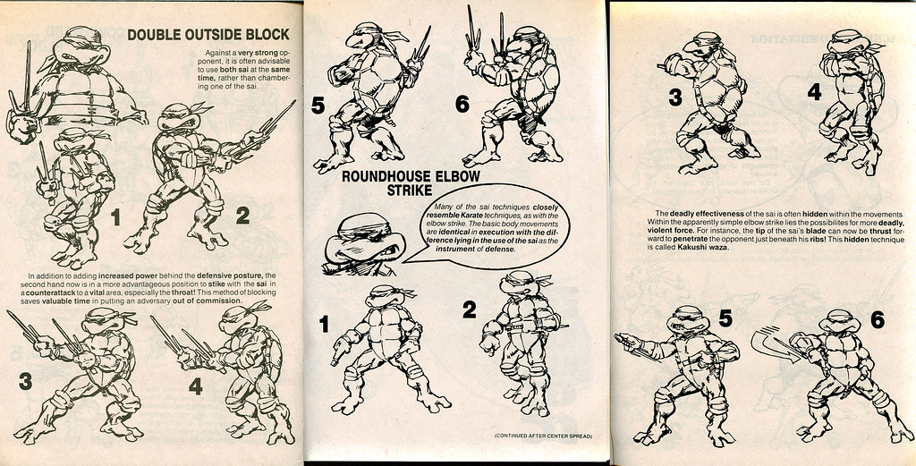 SOLSON PUBLICATIONS Authorized Martial Arts Training Manual " 4