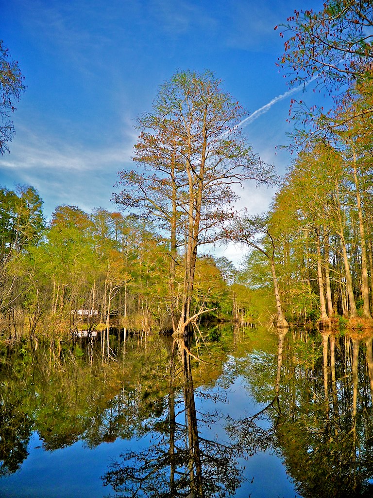 Hope Mills Lake escalier2010 Flickr