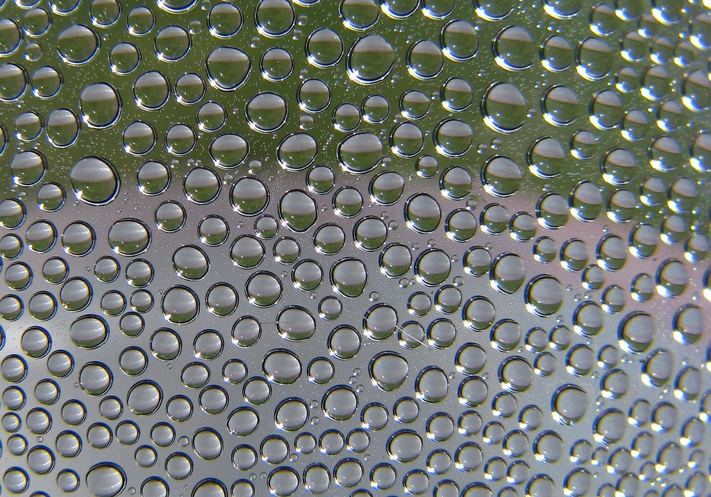 Condensation on the inside of a plastic water bottle. Flickr