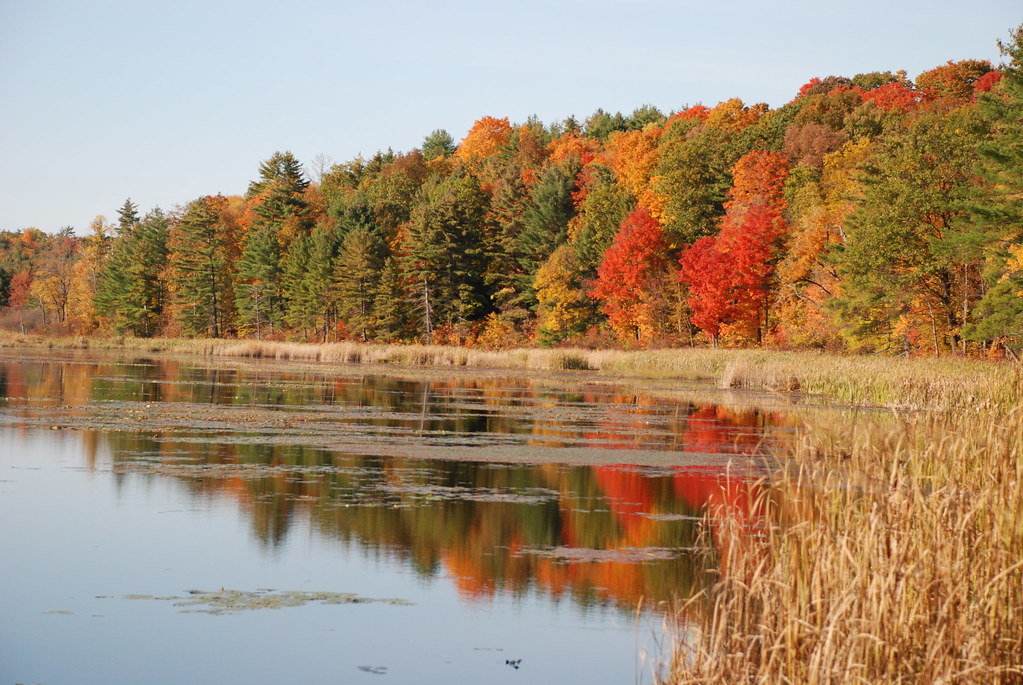 Autumn Pond in Benson Vermont Glenn Estus Flickr