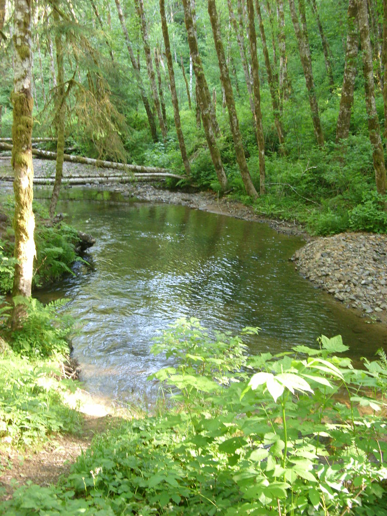 Fishhawk Falls, Jewell, Oregon Flickr