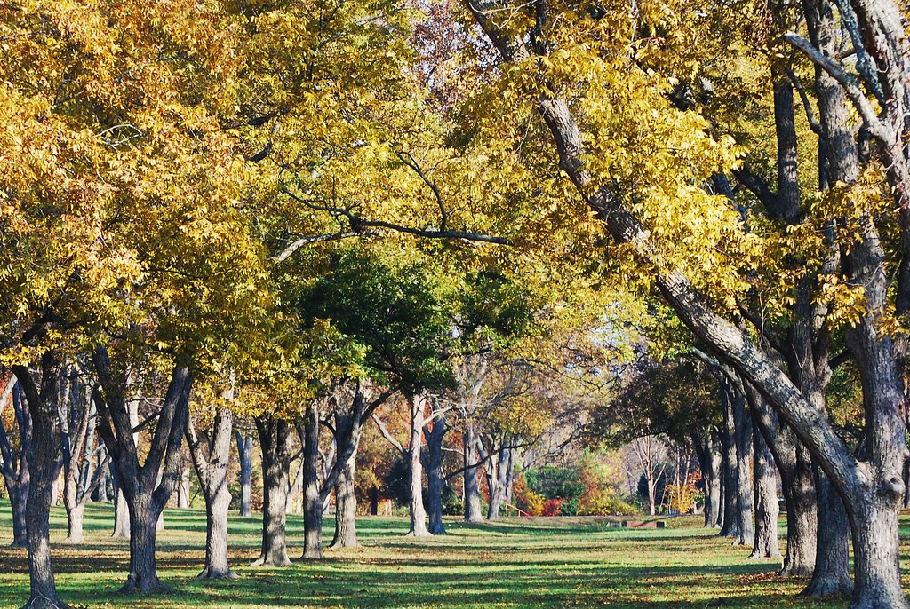 Pecan grove campus of Richard Bland College, Petersburg, V… Flickr