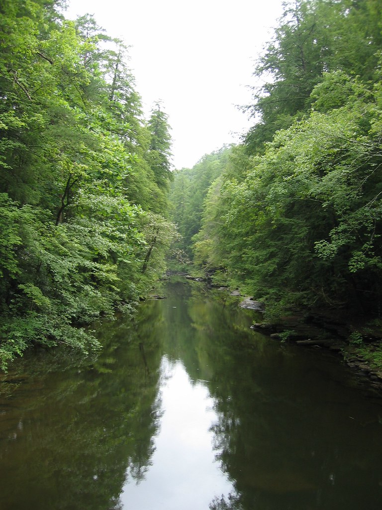 TN_Hiking_00180 Parks Mitchell Flickr