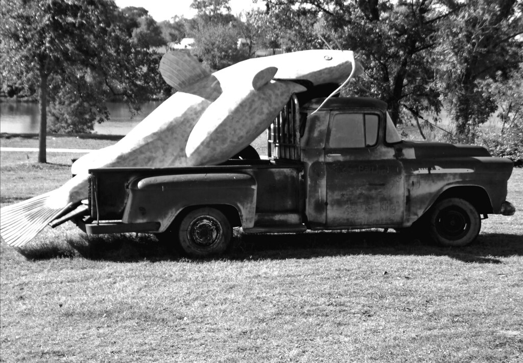Catfish Truck 111608 Paul Cochrum Flickr
