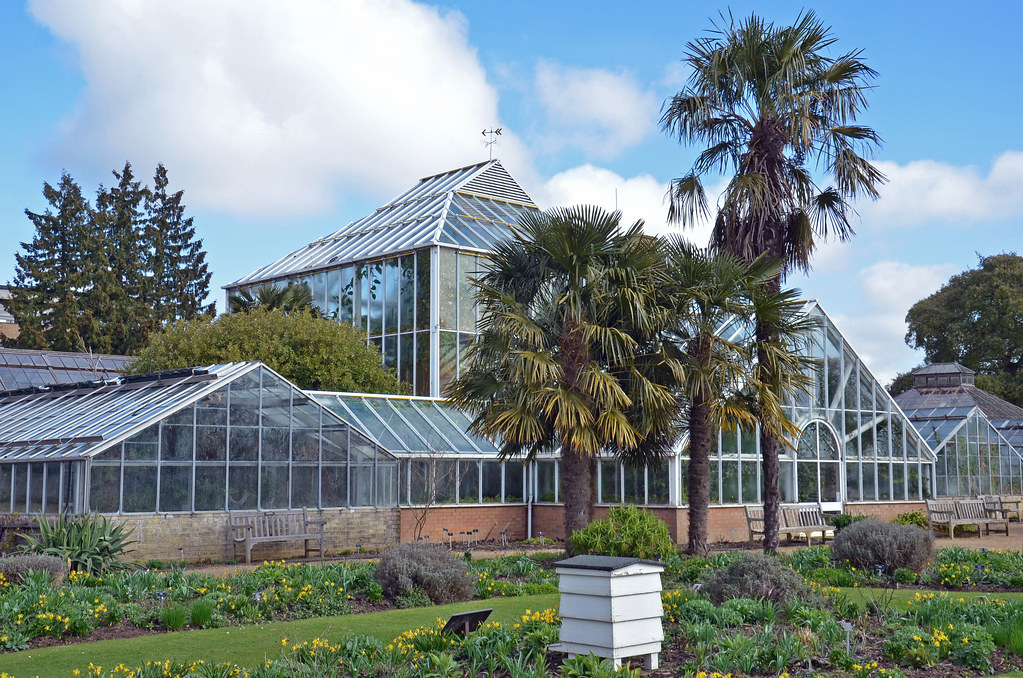 Glasshouses in Cambridge Botanic Gardens The glasshouses w… Flickr
