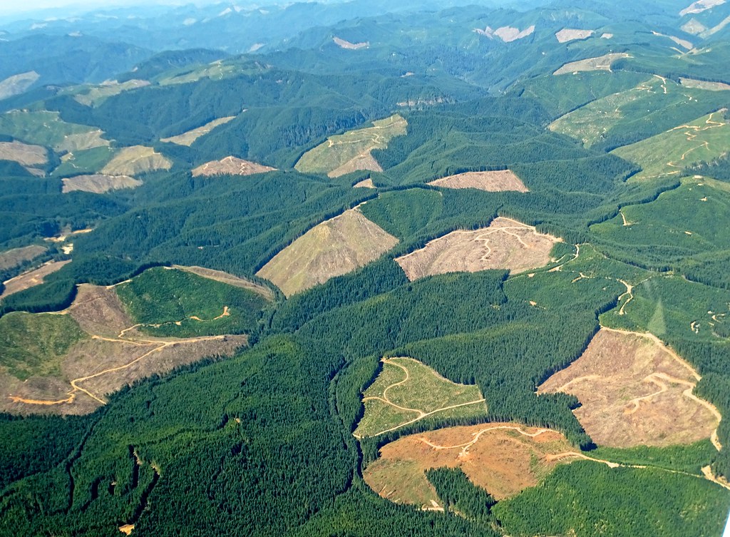 Weyerhaeuser Forest DSC06418 This 209,000 acre block of la… Flickr