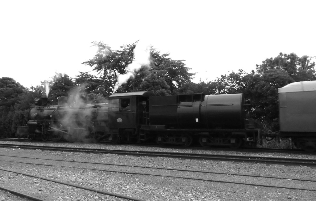 Elevation of Levin, New Zealand Topographic Map Altitude Map