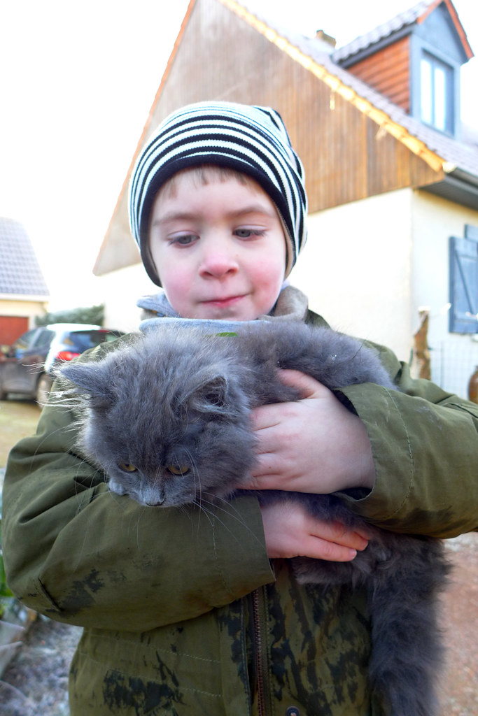 cat rescue! Domitille Parent Flickr