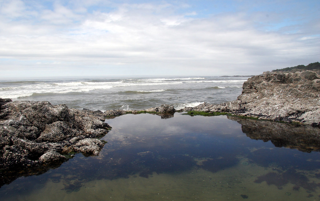 Expanding Water Yachats, OR suzbldr Flickr