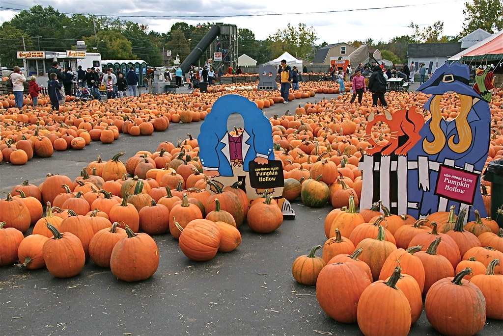 Pumpkin City What's amazing here is this was taken in the … Flickr