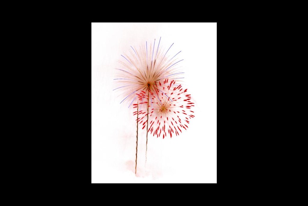 NEGATIVE RED EXPLOSION a photo on Flickriver